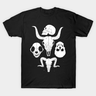 Skullz T-Shirt